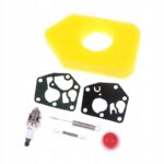 Zestaw Filtr Membrany Sprezynki Do Briggs Stratton-2