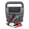 Prostownik Mikroprocesorowy 12v/24v 60-200ah-10