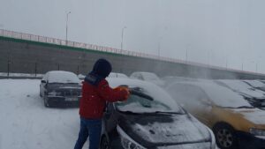 Dmuchawa Spalinowa Ogrodowa Do Lisci Lekka Demon-6