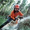 Prowadnica Do Pily Husqvarna 1,5 38cm 325 +2 Lancu-11