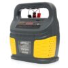 Prostownik Mikroprocesorowy 12v/24v 60-200ah-5