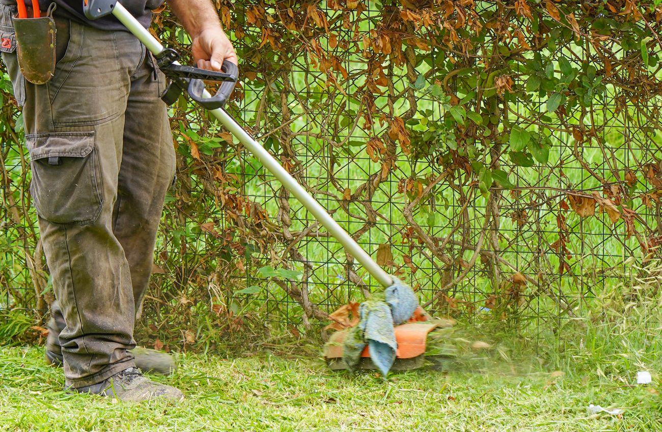 jaka kosa spalinowa Stihl?