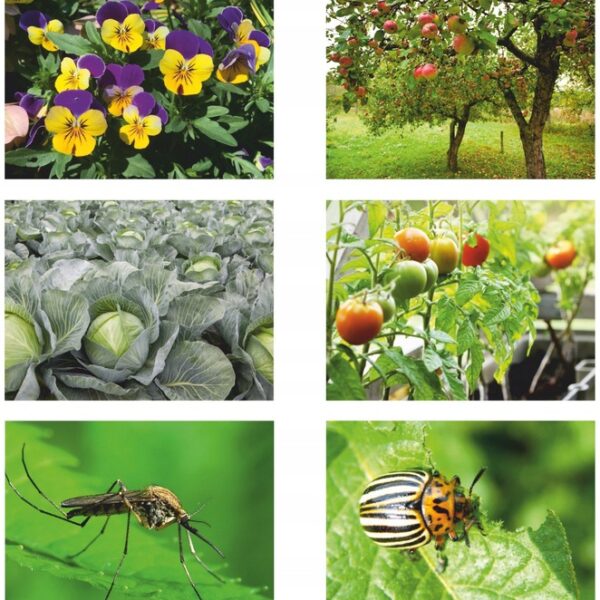 OPRYSKIWACZ CISNIENIOWY RECZNY 5L LANCA-2