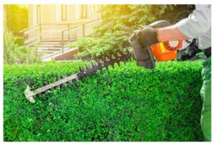 Nozyce Spalinowe do Zywoplotu Sekator Podkaszarka 4.9km 60cm + Zestaw +olej-15