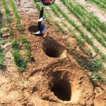 Wiertnica Glebowa Swider Spalinowy do Gleby Ziemi Wiertla 10/15/20cm Demon-15