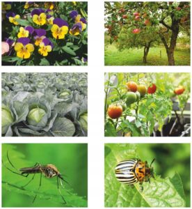 OPRYSKIWACZ RECZNY CISNIENIOWY DUZY 8L DLUGA LANCA-3